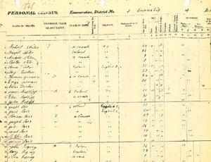 tiny image of a census form