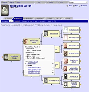 sample pedigree chart